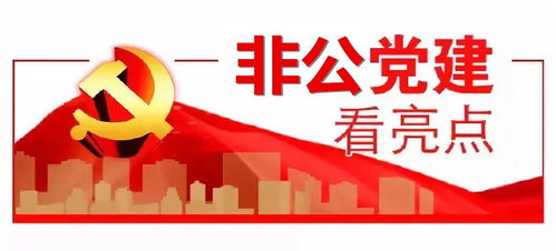 深化非公黨建創新實踐，拓展‘兩個覆蓋’夯實基礎電信業務根基